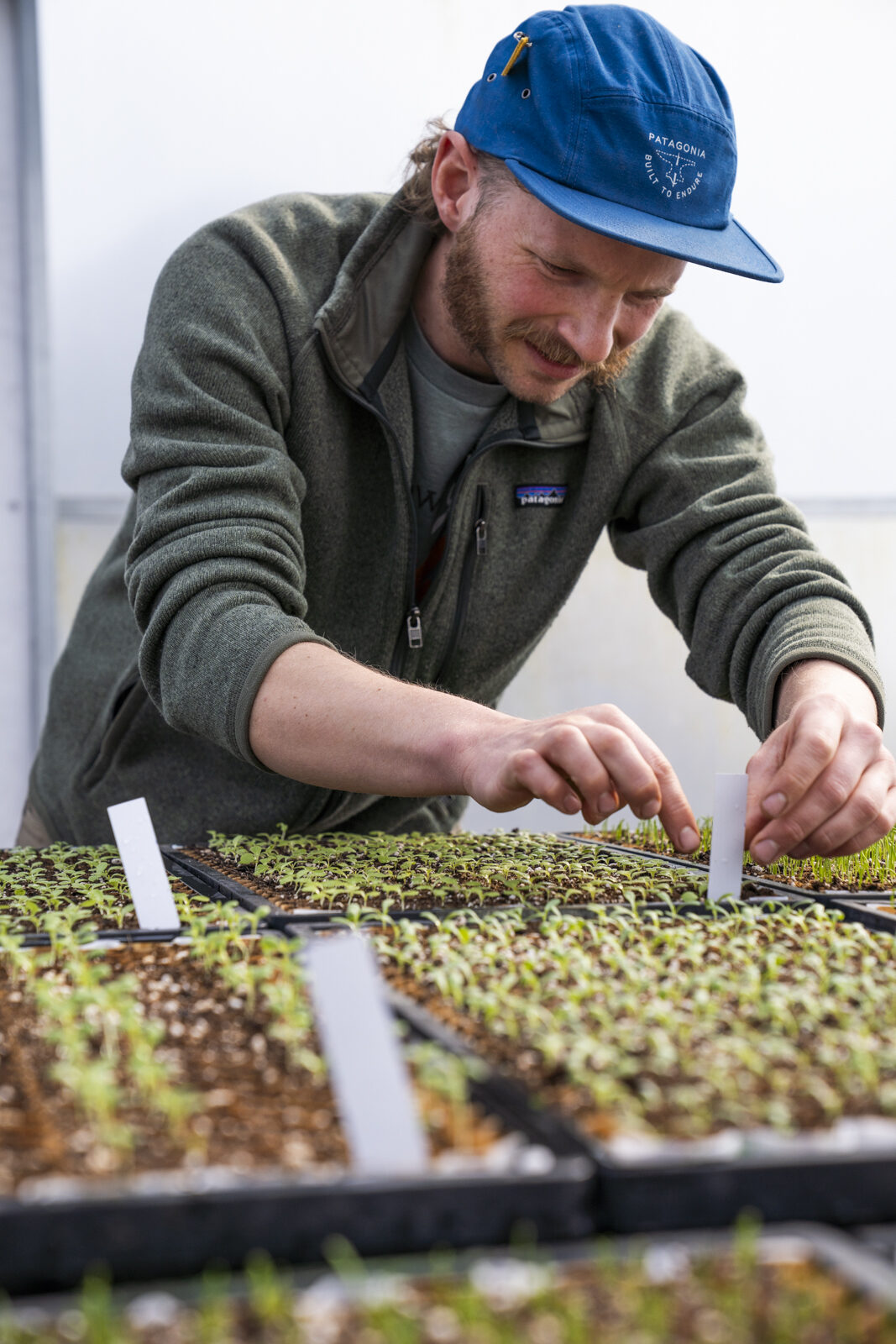 Community ski mountain